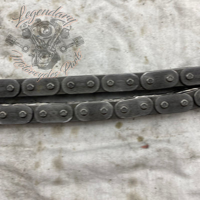 Primary Chain OEM 40036-06