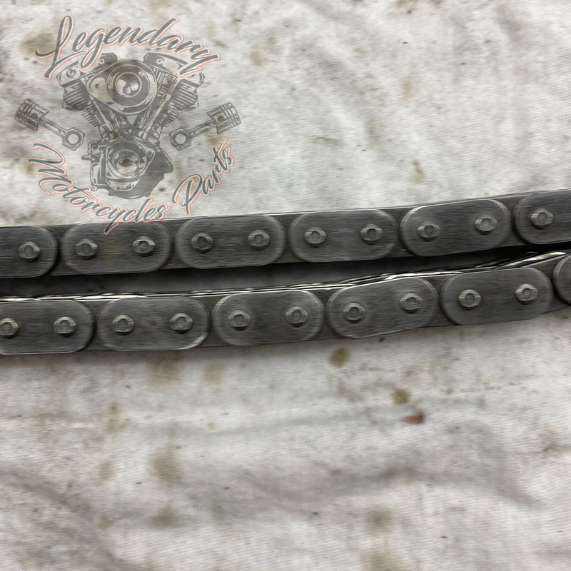 Primary Chain OEM 40036-06