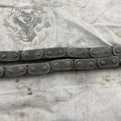 Primary Chain OEM 40036-06