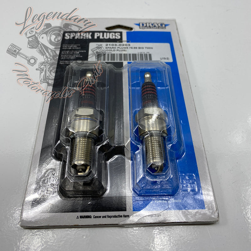 Spark Plugs Réf. 21030203