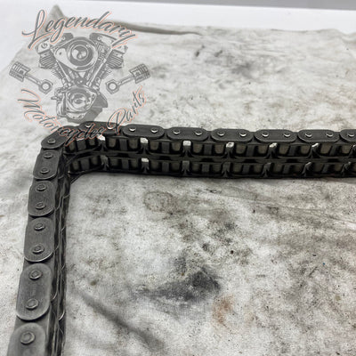 Primary Chain OEM 40036-06