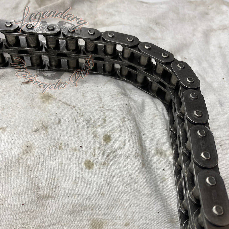 Primary Chain OEM 40036-06