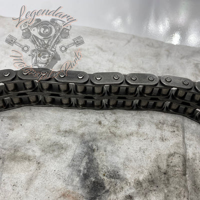 Primary Chain OEM 40036-06