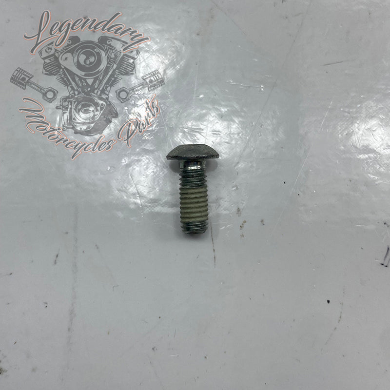 Screw OEM 3026