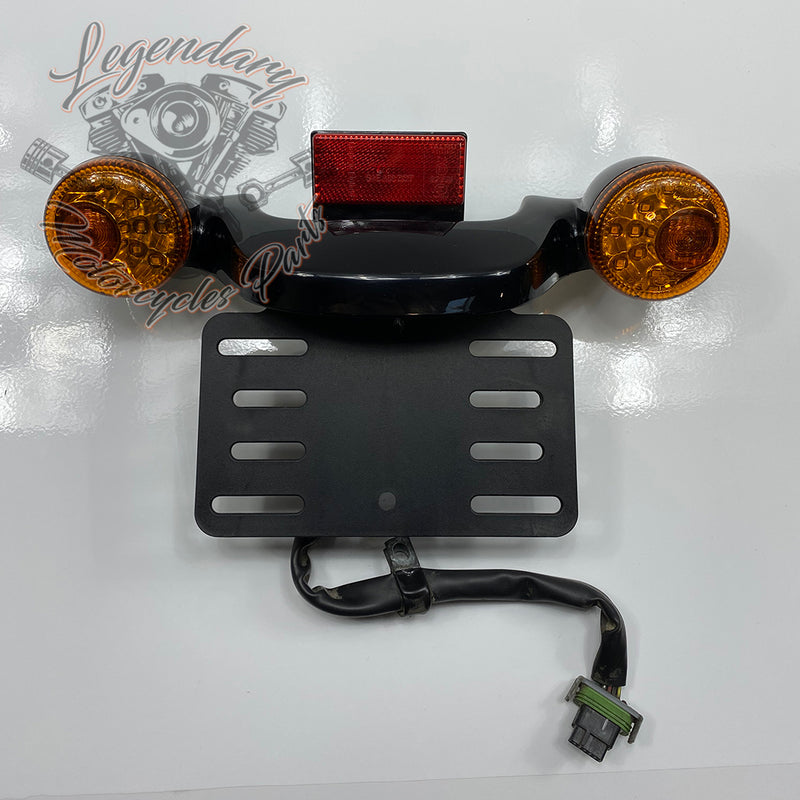 Rampa de luz traseira e suporte de placa OEM 67800484