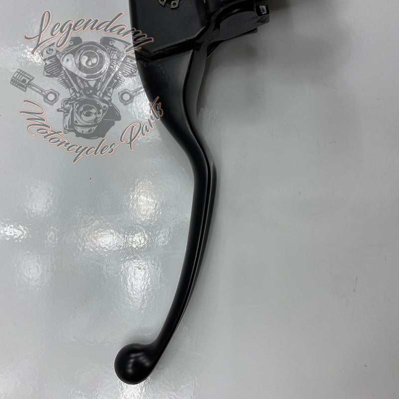 Master Cylinder and Front Brake Lever OEM 44985-10D