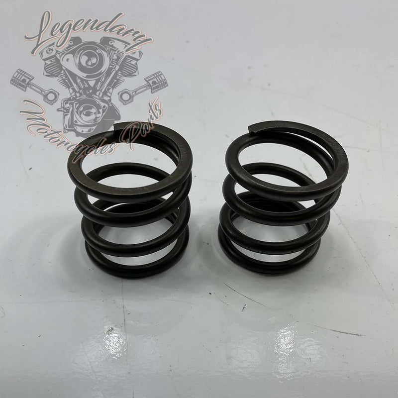 Fork Springs OEM 45500396