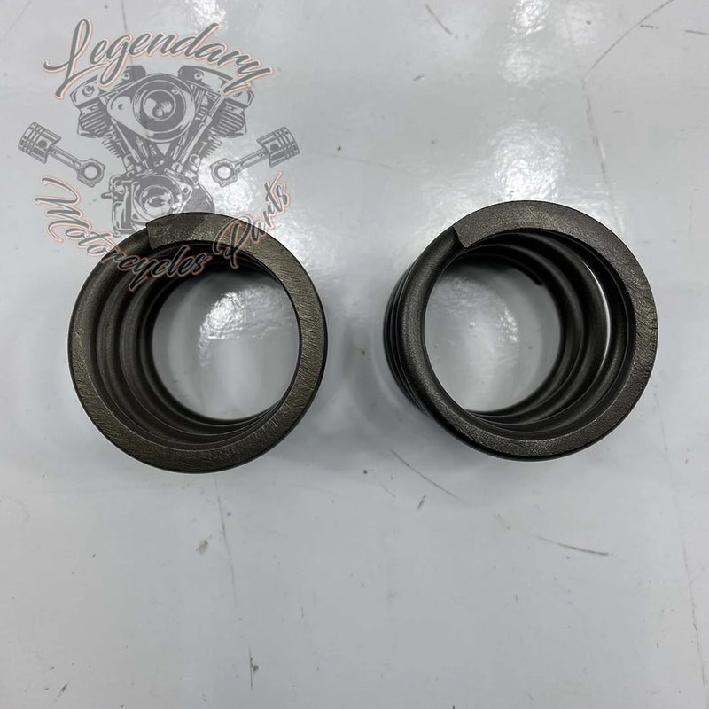 Fork Springs OEM 45500396