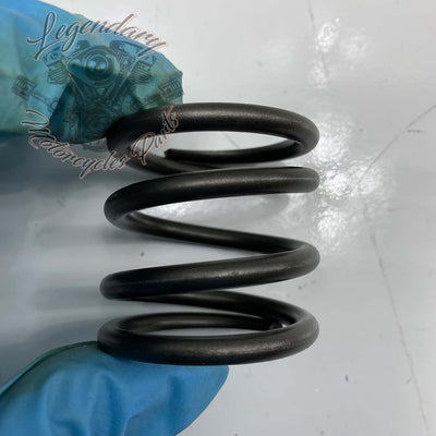 Fork Springs OEM 45500396