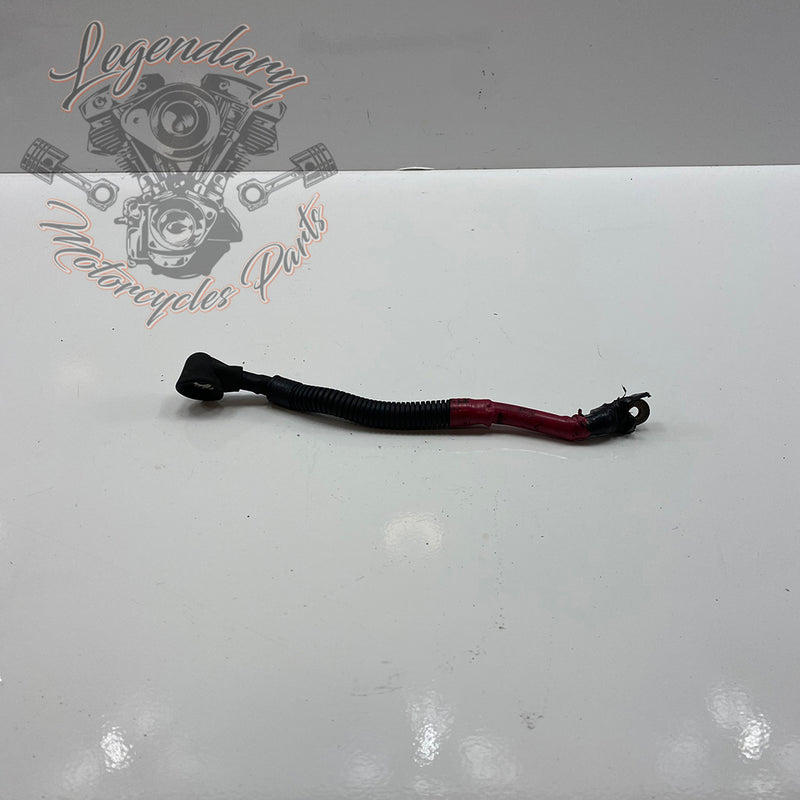 Cable de batería positivo OEM 70076-97