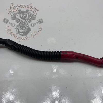 Cable de batería positivo OEM 70076-97