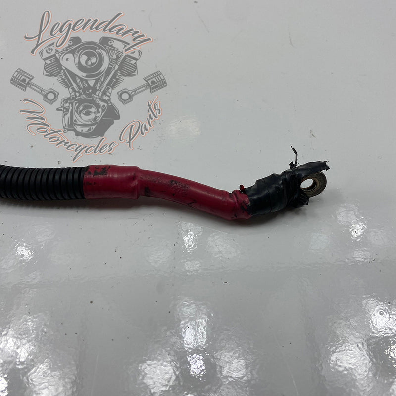 Positive Battery Cable OEM 70076-97