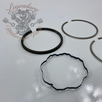 Piston Segments OEM 22328-55