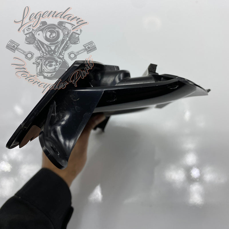 Defletor de ar interior do fairing OEM 29200003