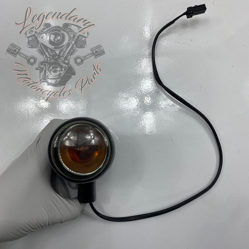 Heckblinker OEM 68978-00