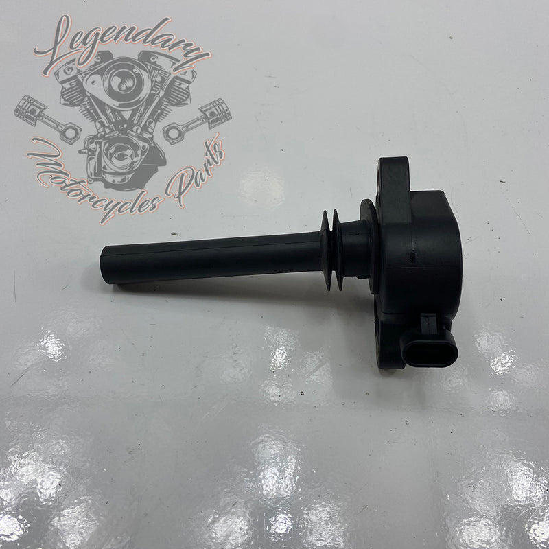 Bobina di accensione OEM 32477-01