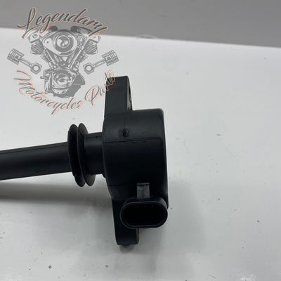 Bobina di accensione OEM 32477-01