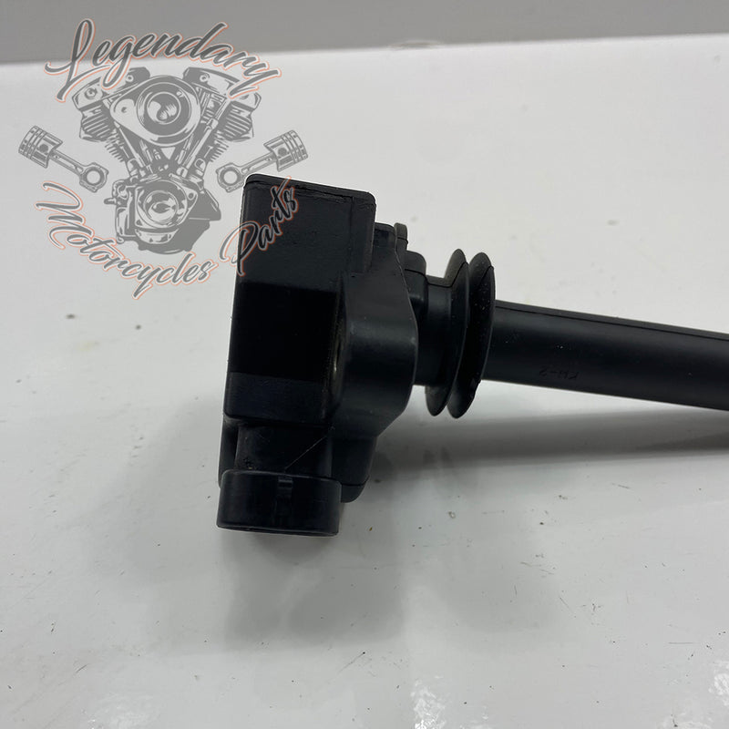 Bobina di accensione OEM 32477-01