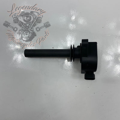 Bobine d'allumage OEM 32477-01