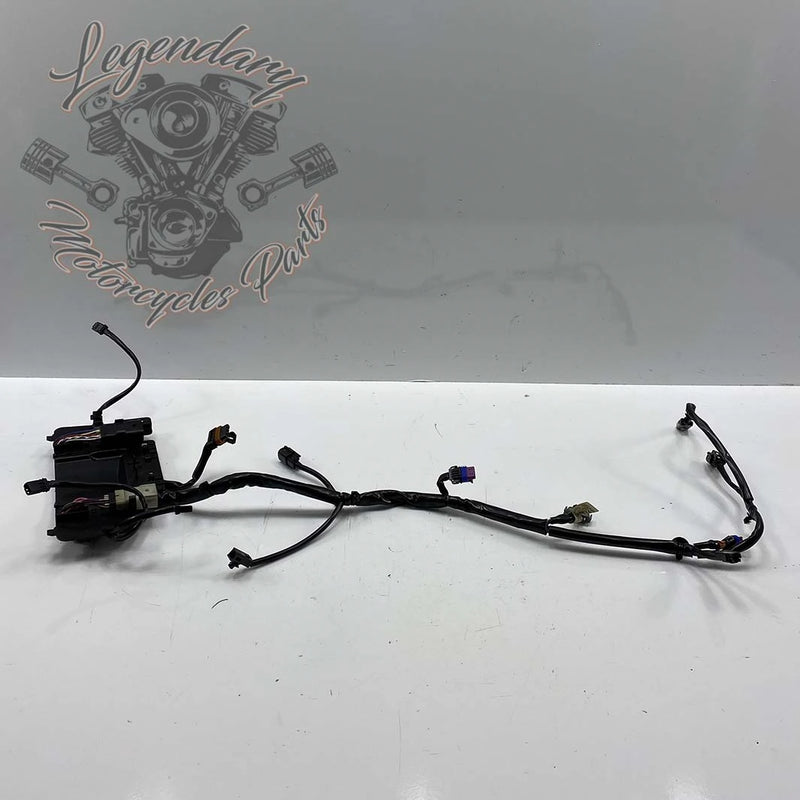 Haz de cableado interior del carenado OEM 69200121