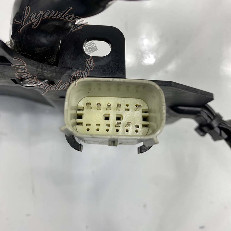 Haz de cableado interior del carenado OEM 69200121