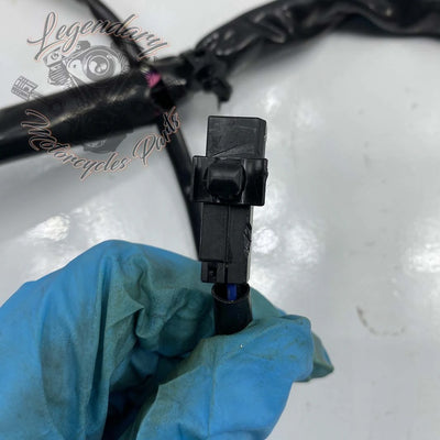 Haz de cableado interior del carenado OEM 69200121