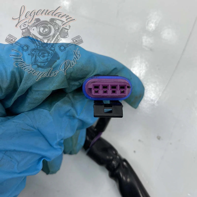 Haz de cableado interior del carenado OEM 69200121