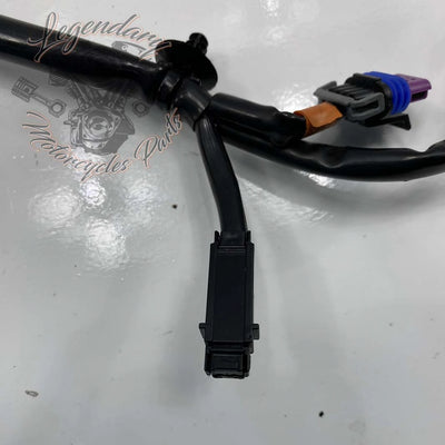 Haz de cableado interior del carenado OEM 69200121