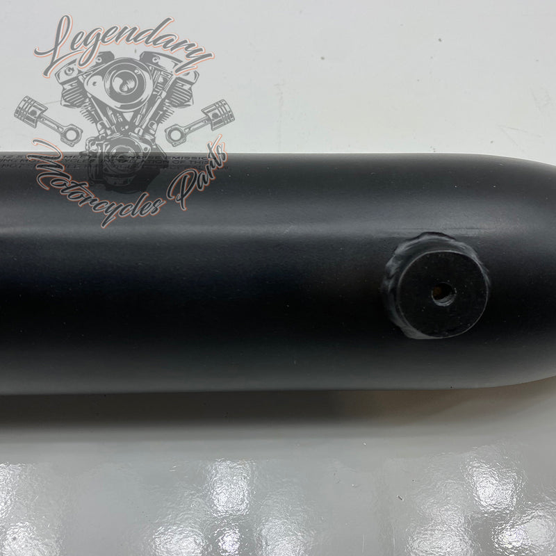 Silenziatore Shorty Dual OEM 80813-12