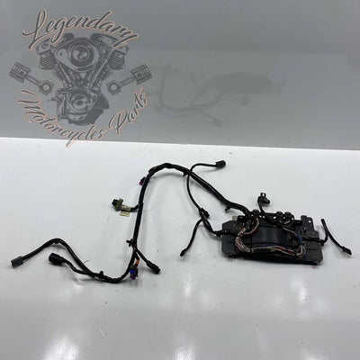 Haz de cableado interior del carenado OEM 69200121