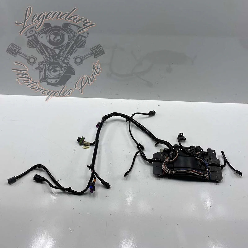 Haz de cableado interior del carenado OEM 69200121