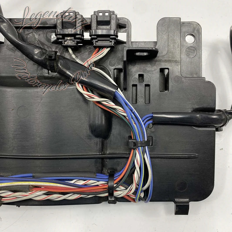 Haz de cableado interior del carenado OEM 69200121