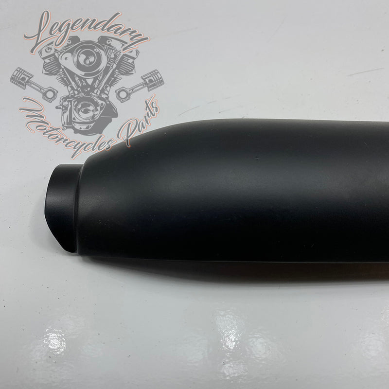 Silenziatore Shorty Dual OEM 80813-12