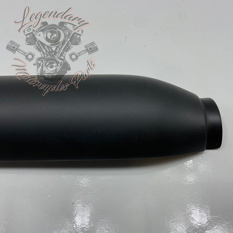 Silenziatore Shorty Dual OEM 80813-12