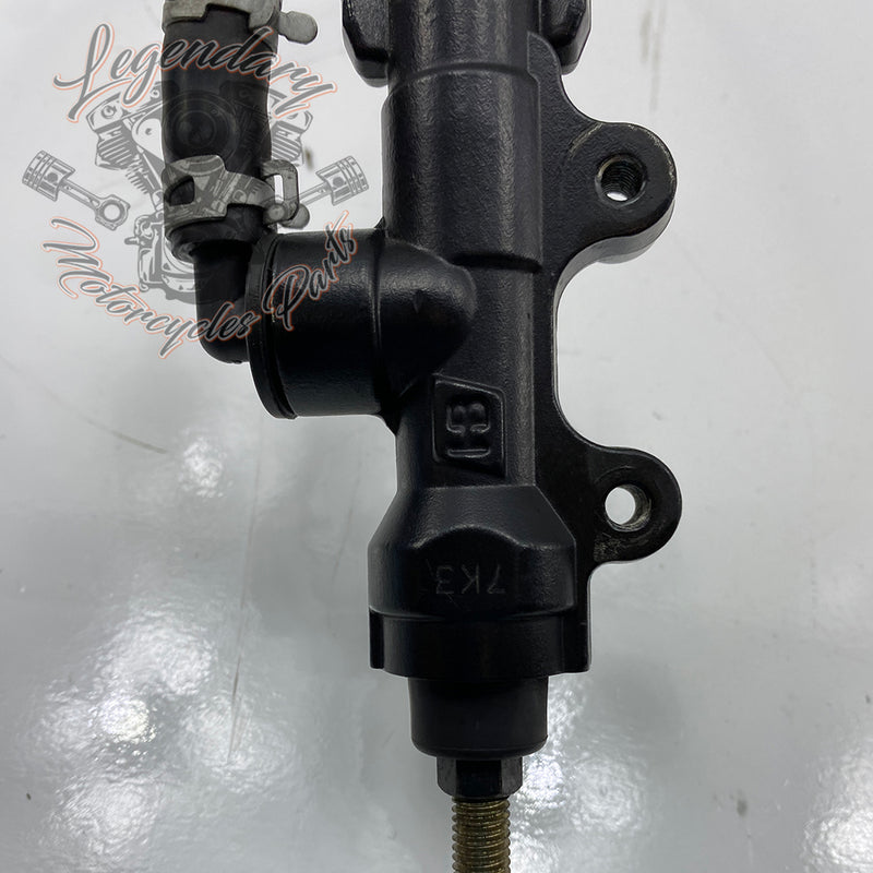 Rear Brake Master Cylinder OEM H0205.1AM