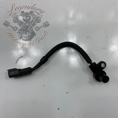 Sensore cavalletto OEM Y0800.1AMC