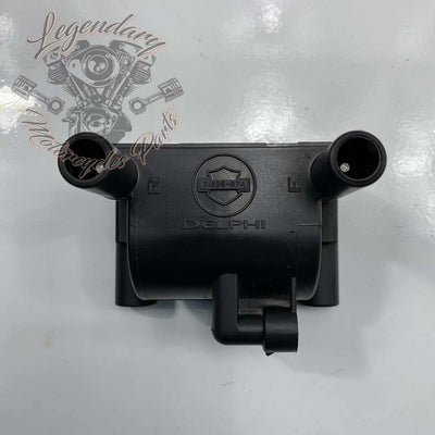 Bobine d'allumage OEM 31696-07A