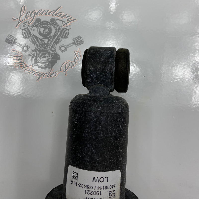 Ammortizzatori OEM 54000096