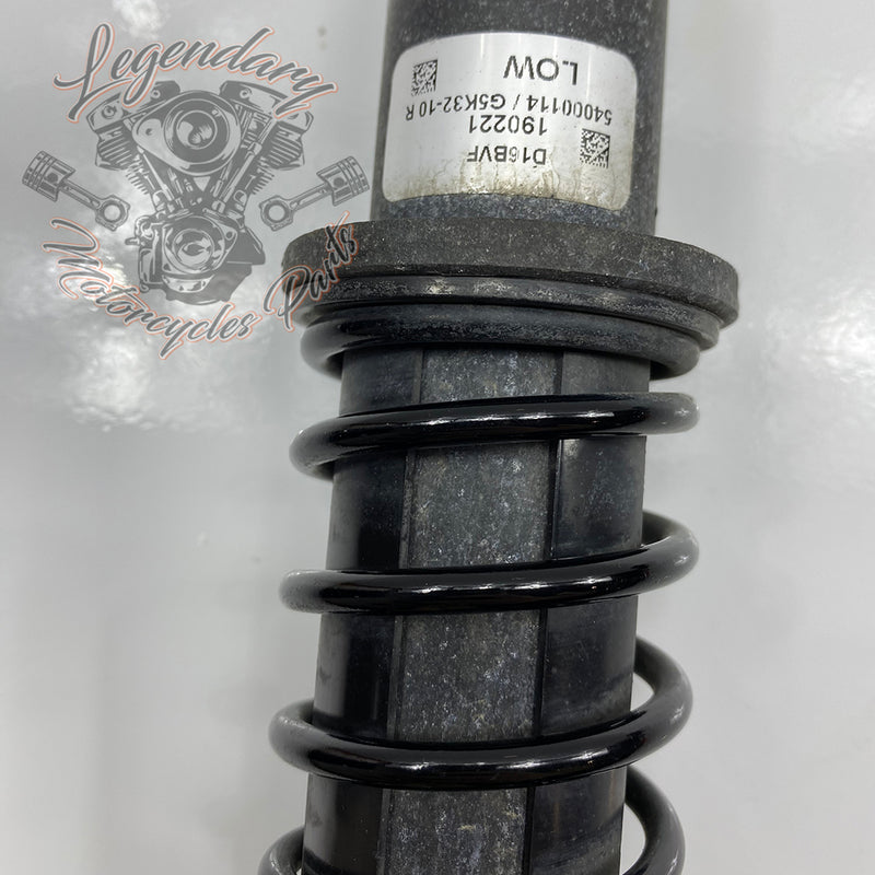 Shock Absorbers OEM 54000096