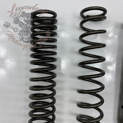 Kit interior de horquilla OEM 54676-09