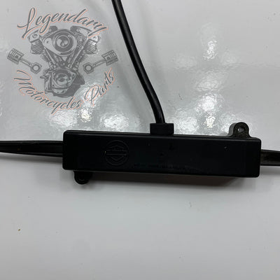 Hidden AM/FM Antenna OEM 76000862