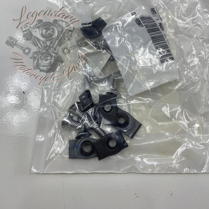 Embouts de escape Blunt Revolver OEM 80611-09