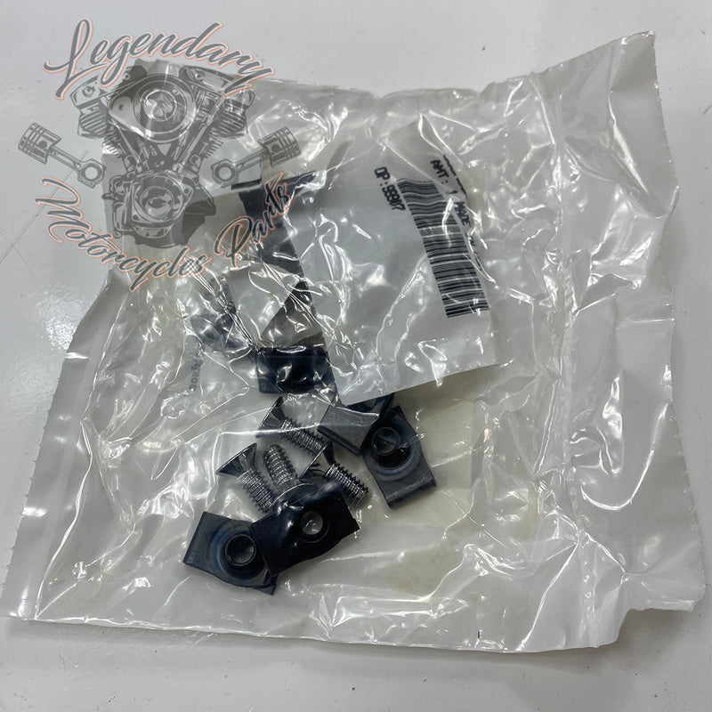 Terminali di scarico Blunt Revolver OEM 80611-09