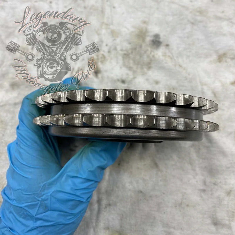 Compensator Sprocket OEM 40100076