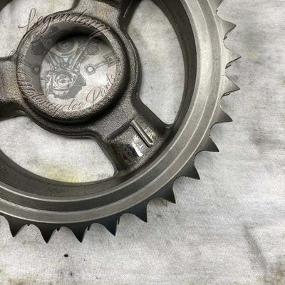 Compensator Sprocket OEM 40100076