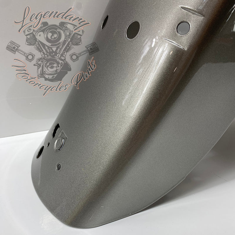 Rear Mudguard OEM 59579-07CGR