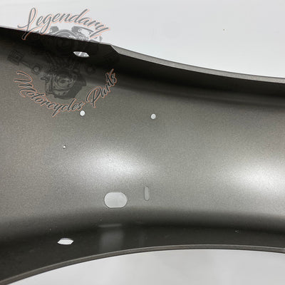 Rear Mudguard OEM 59579-07CGR