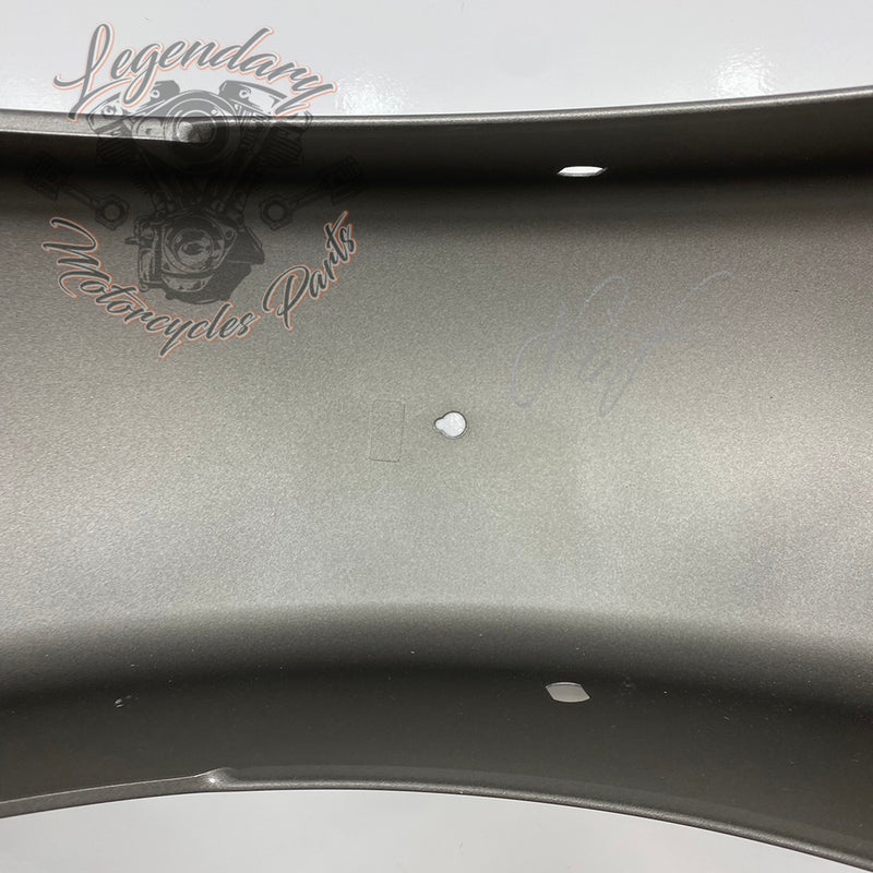 Rear Mudguard OEM 59579-07CGR