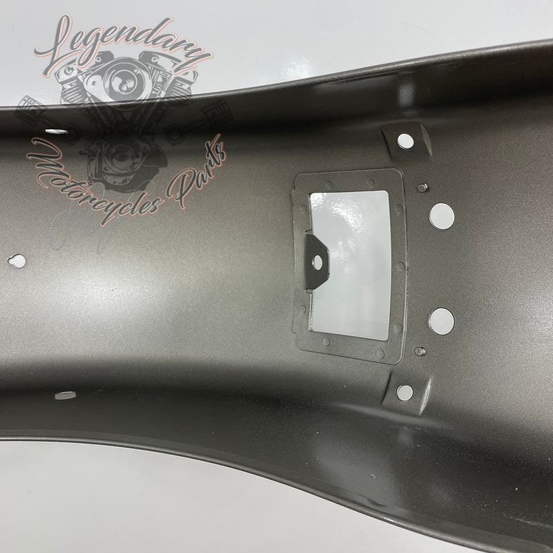 Rear Mudguard OEM 59579-07CGR