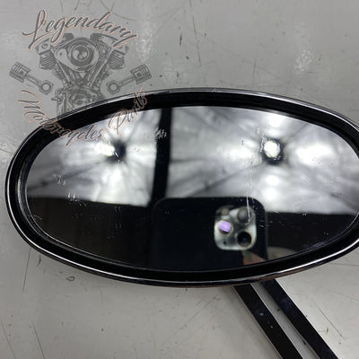 Left mirror with integrated turn signal